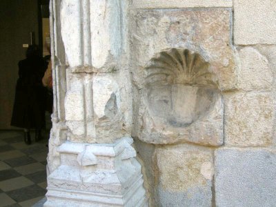 Coquille de Saint-Jacques sur la cathédrale Notre-Dame