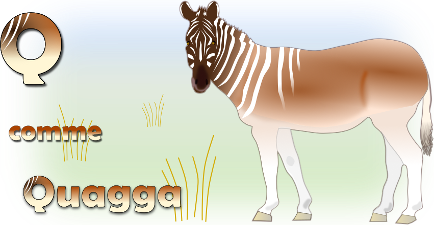 Q comme Quagga