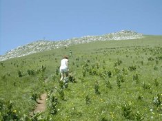 la prairie en dessous du sommet