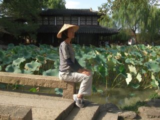 Lotus Garden in Suzhou