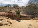 bois_fossile_damaraland