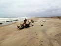 epave_skeleton_coast