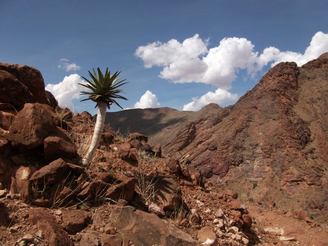 volcan.jpg - Sur le bord du cratère du volcan Brukkaros  (Namibie)