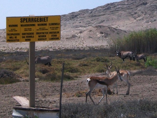 zone_de_diamants.jpg - Zone diamantaire interdite près de Lüderitz (Namibie)
