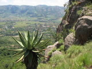 Vallée d'Ezulwini vue de Sheba's Breast