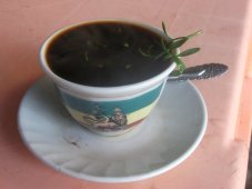 Tasse de café avec un brin de rue (Ruta graveolens)