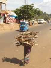 Transport de bois pour la cuisson