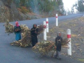 Transport de bois pour la cuisson