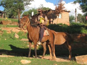 Cavalier Basotho à Malealea