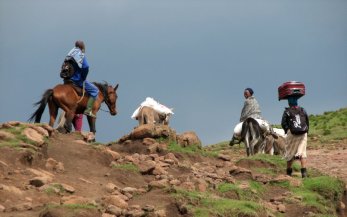Si les chevaux, ânes et mulets sont bien utilisés, on transporte aussi des marchandises sans assistance animale.