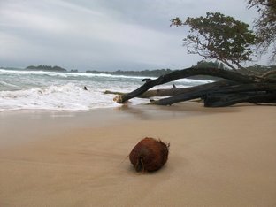 Playa Ranita Roja (Isla Bastimentos)