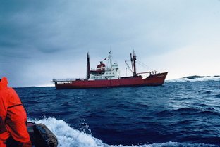 Le Nella Dan ancré au large de Casey en Janvier 1983. Le Nella Dan a coulé quelques années après à Macquarie. Casey 1982-1983