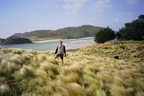 Vent en NZ