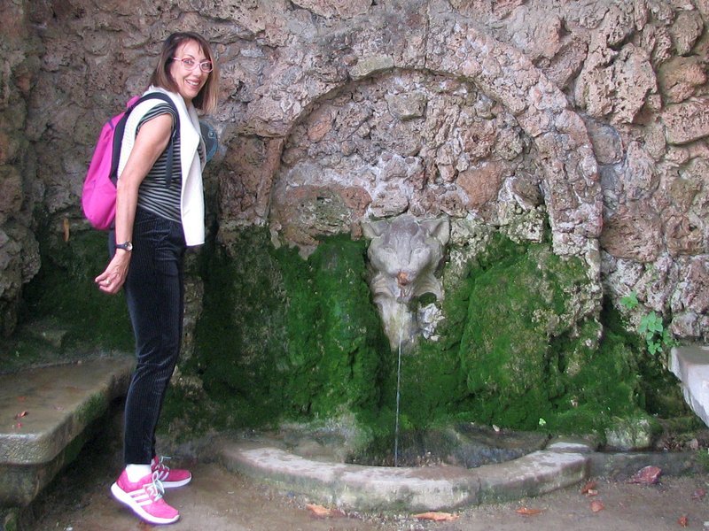 Font del Gat (Jardins de Laribal)