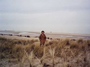 Dunes et oyats Dunes et oyats