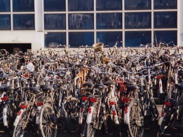 Vélos à Amsterdam