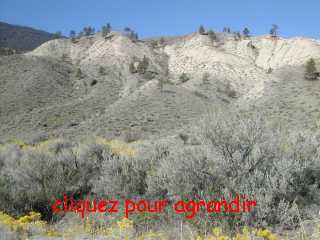 L'Arizona canadien