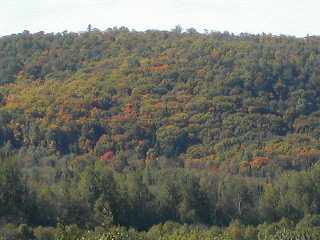 La Saison des Couleurs commence aussi de l'autre côté de la frontière