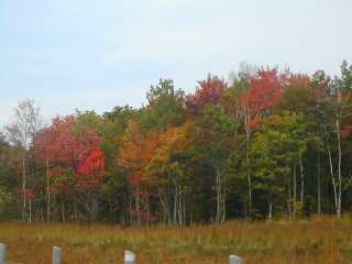 C'est la Saison des Couleurs