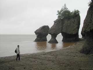 Les Pots de Fleurs près de Hopewell Rocks (Baie de Fundy)