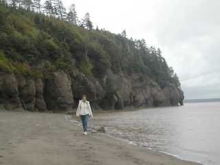 La Plage des Demoiselles près de Hopewell Rocks (Baie de Fundy)