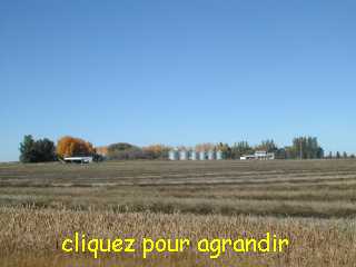 Silos à grain