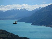 Condor au-dessus de Puerto Rio Tranquilo