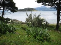 Parc National près d'Ushuaia