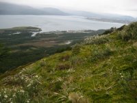 Puerto Williams vu d'en haut