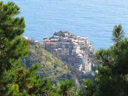 Manarola vue depuis la route. On voit bien les vignes cultivées en terrasse.