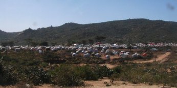 Un village presque entièrement constitué de petites huttes rondes recouvertes d'une bâche (entre Babile et Jijiga).