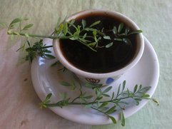 Le café est souvent servi avec des brins de rue (sans doute Ruta graveolens) qui lui ajoutent un goût amer.