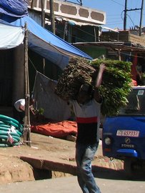 Porteur de qat à Awaday (près de Harar). Awaday est le centre d'expédition du qat.