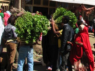 Autre image à Awaday. On est à quelques km à l'Ouest de Harar, en Région Oromia.