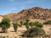 Le paysage pas très loin de Dawale et de Djibouti.