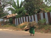 Les productions agricoles et le bois pour la cuisine sont souvent portés par les femmes.