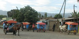 Le transport local se fait aussi avec des charettes tirées par un âne ou un petit cheval (ici à Butajira).