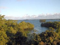Le Lac Te 'nggano vu de Kia Koe Lodge (Rennell Island)