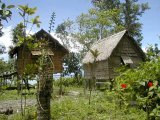 Maisons sur l'ile de Ghizo (Western Province)
