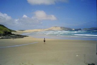 Plage à proximité de Cape Reinga