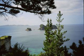 Coromandel East (Est) Coromandel East