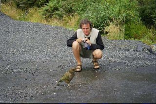 Un kea (Nestor notabilis) Un kea