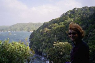 Stewart Island Stewart Island