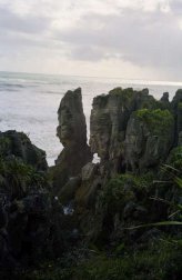 Punakaiki (rochers stratifiés) Punakaiki