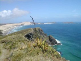 Cape Reinga Cape Reinga