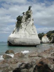 Cathedral Cove