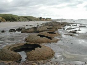 Au Sud de Moeraki