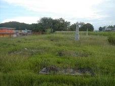 Le vieux cimetière allemand au centre de Madang