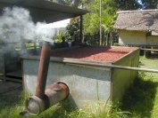 Séchage du cacao près de Madang Séchage du cacao près de Madang