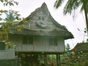 Maison traditionnelle dans le Sepik